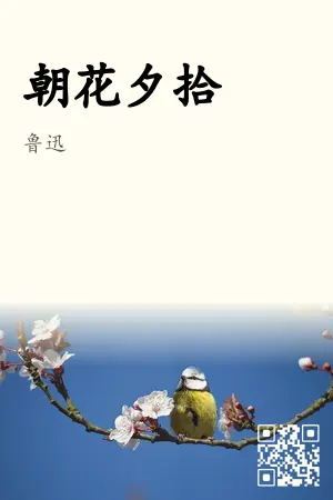 朝花夕拾